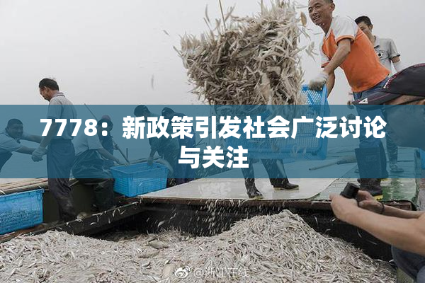 7778：新政策引发社会广泛讨论与关注