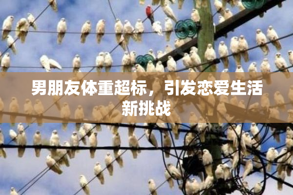 男朋友体重超标，引发恋爱生活新挑战