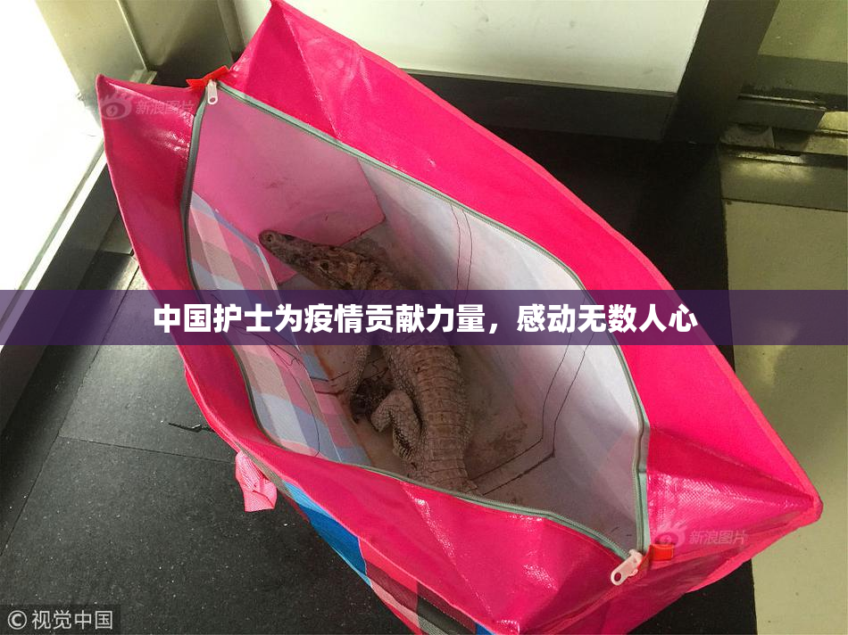 中国护士为疫情贡献力量，感动无数人心