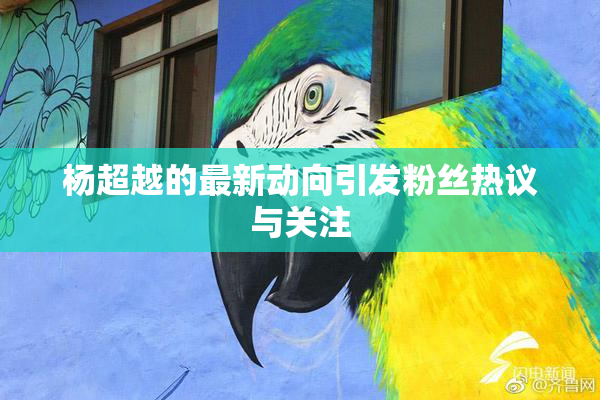 杨超越的最新动向引发粉丝热议与关注