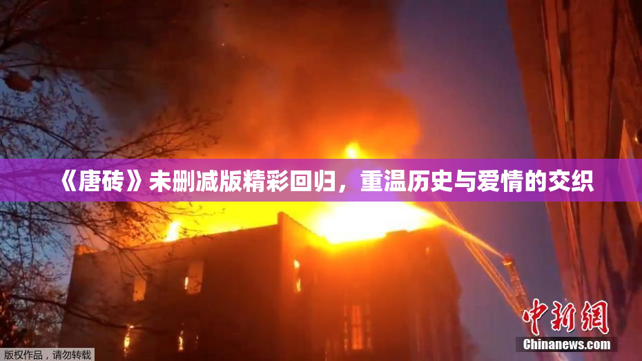 《唐砖》未删减版精彩回归，重温历史与爱情的交织