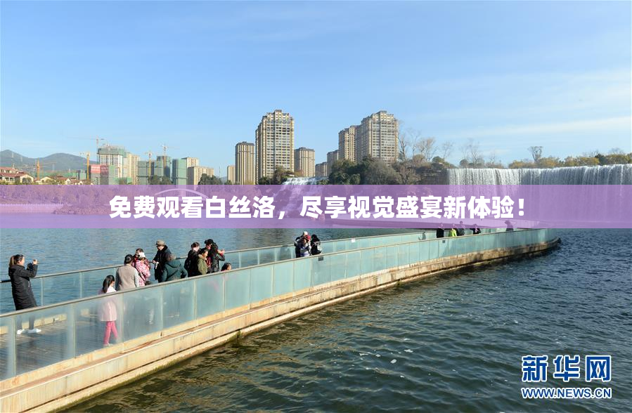 免费观看白丝洛，尽享视觉盛宴新体验！