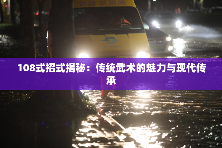 108式招式揭秘：传统武术的魅力与现代传承