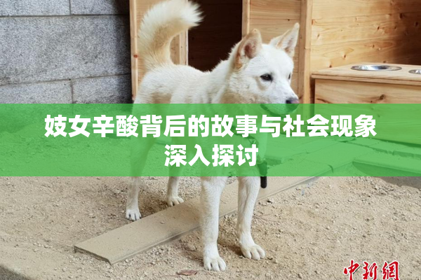 妓女辛酸背后的故事与社会现象深入探讨