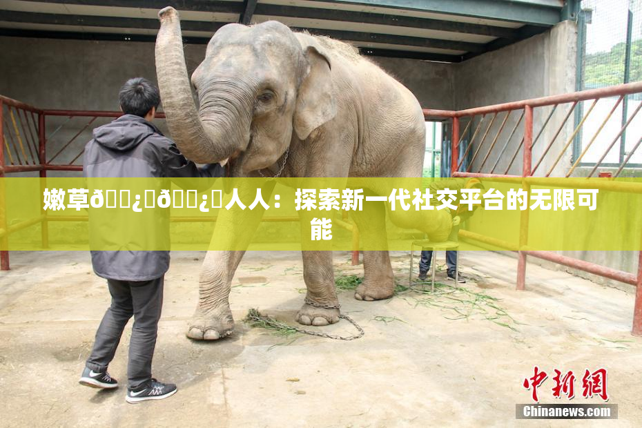 嫩草🌿‌🌿‌人人：探索新一代社交平台的无限可能