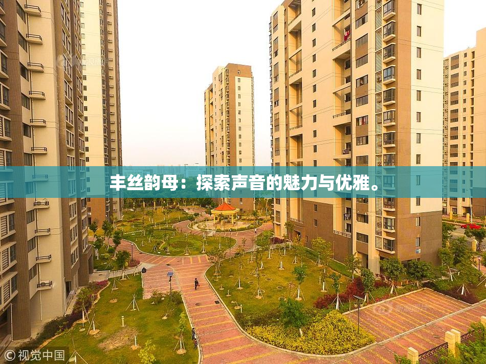 丰丝韵母：探索声音的魅力与优雅。