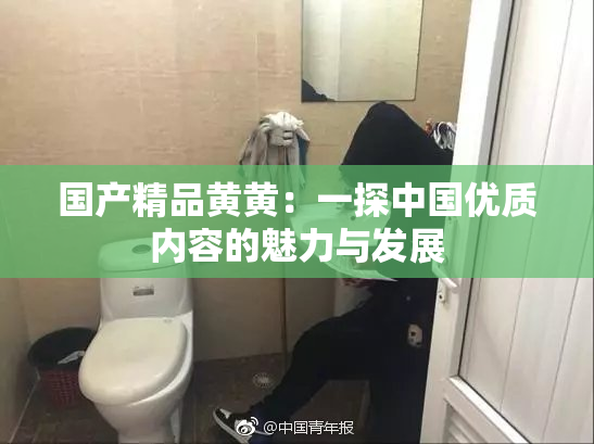 国产精品黄黄：一探中国优质内容的魅力与发展