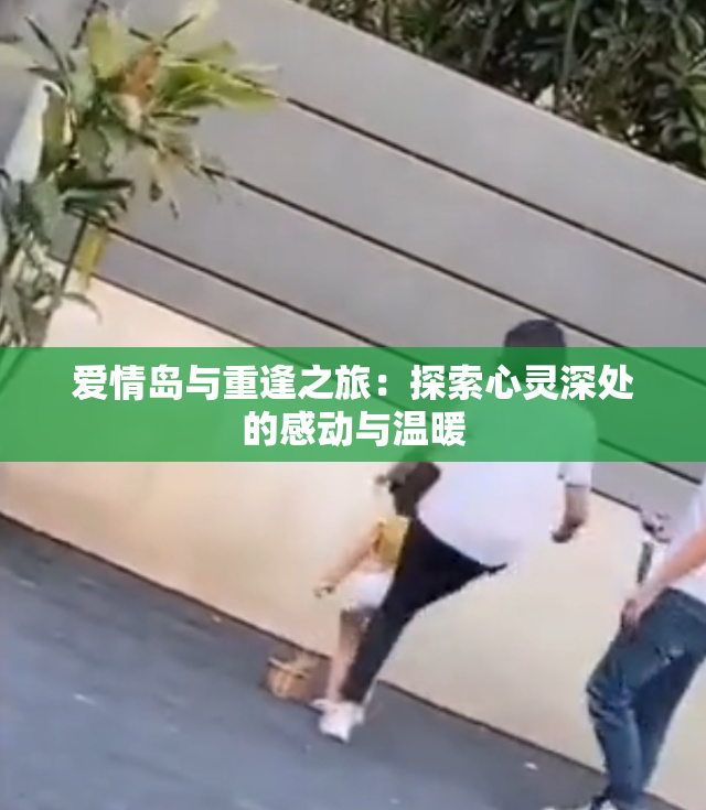 爱情岛与重逢之旅：探索心灵深处的感动与温暖