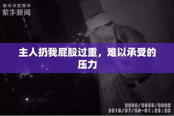 主人扔我屁股过重，难以承受的压力