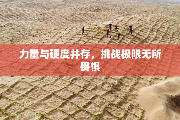 力量与硬度并存，挑战极限无所畏惧