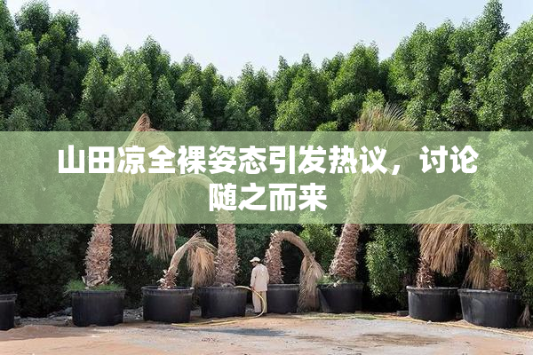 山田凉全裸姿态引发热议，讨论随之而来
