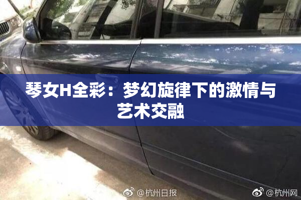 琴女H全彩：梦幻旋律下的激情与艺术交融