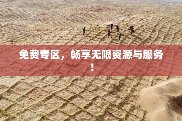 免费专区，畅享无限资源与服务！