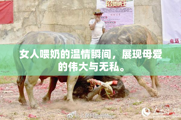 女人喂奶的温情瞬间，展现母爱的伟大与无私。