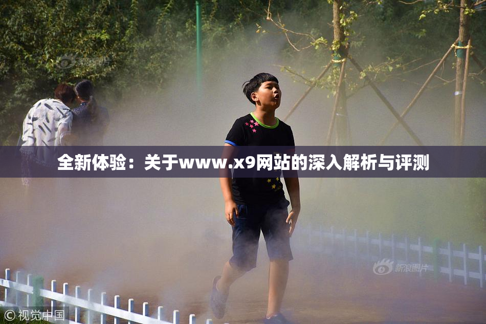 全新体验：关于www.x9网站的深入解析与评测
