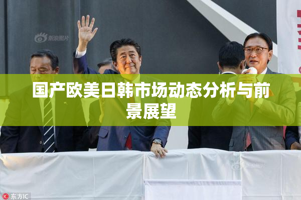 国产欧美日韩市场动态分析与前景展望