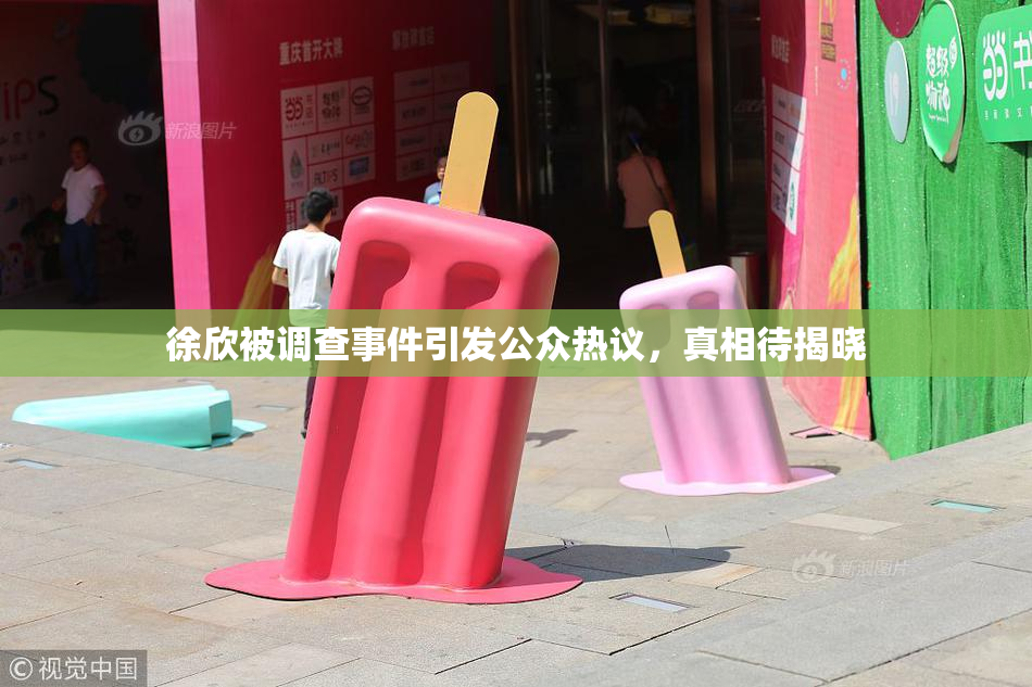 徐欣被调查事件引发公众热议，真相待揭晓