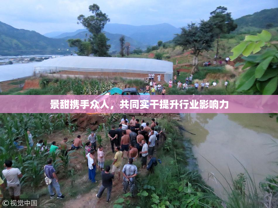 景甜携手众人，共同实干提升行业影响力