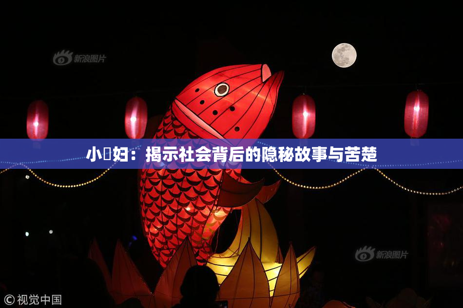 小婬妇：揭示社会背后的隐秘故事与苦楚