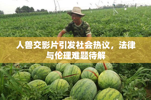 人兽交影片引发社会热议，法律与伦理难题待解