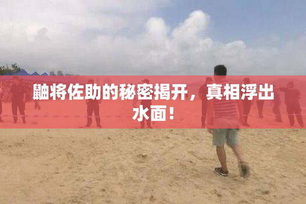 鼬将佐助的秘密揭开，真相浮出水面！