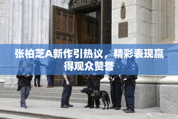 张柏芝A新作引热议，精彩表现赢得观众赞誉