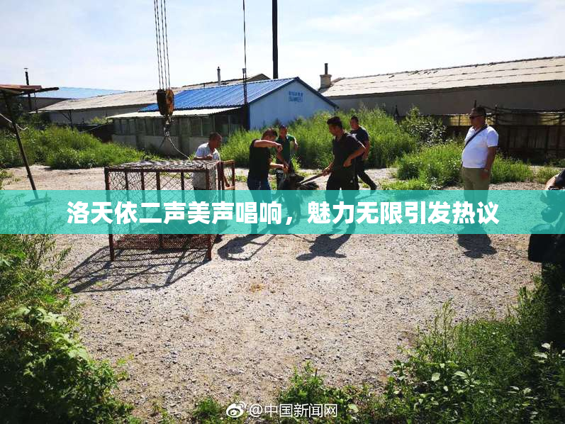 洛天依二声美声唱响，魅力无限引发热议