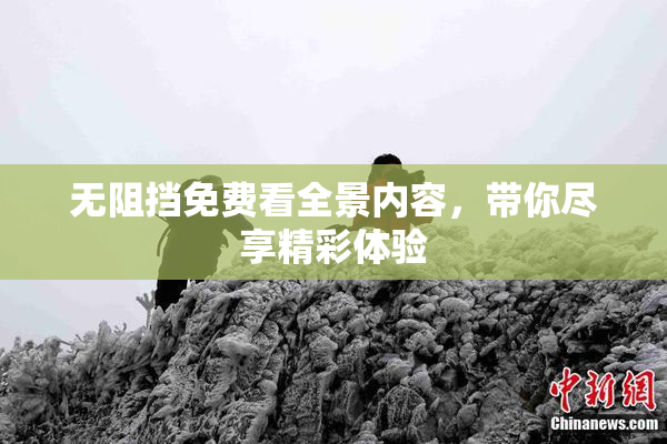 无阻挡免费看全景内容，带你尽享精彩体验