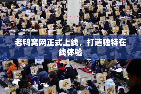 老鸭窝网正式上线，打造独特在线体验