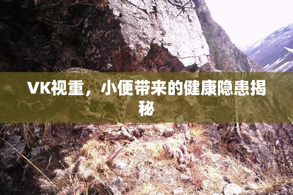 VK视重，小便带来的健康隐患揭秘