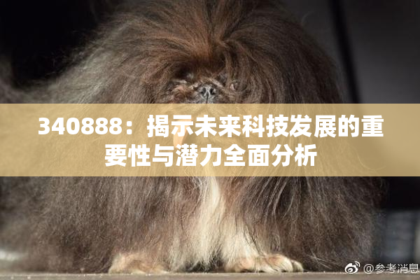 340888：揭示未来科技发展的重要性与潜力全面分析
