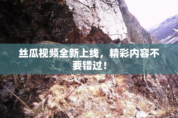 丝瓜视频全新上线，精彩内容不要错过！