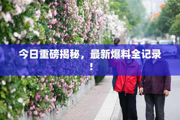 今日重磅揭秘，最新爆料全记录！