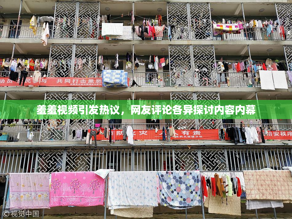 羞羞视频引发热议，网友评论各异探讨内容内幕