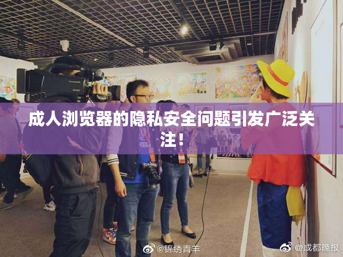 成人浏览器的隐私安全问题引发广泛关注！