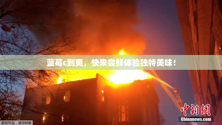 蓝莓c到爽，快来尝鲜体验独特美味！
