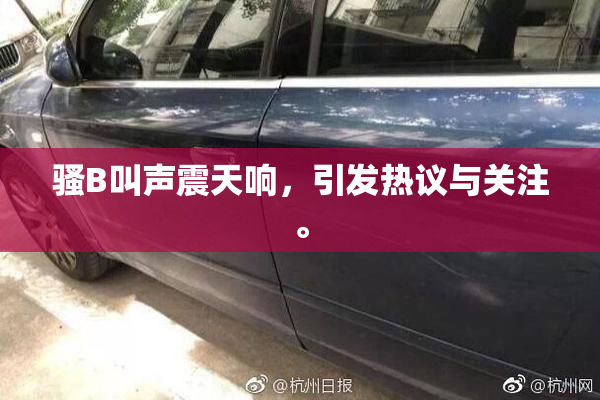 骚B叫声震天响，引发热议与关注。