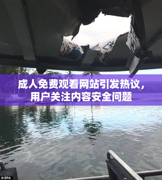 成人免费观看网站引发热议，用户关注内容安全问题