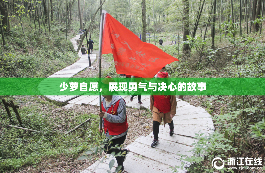 少萝自愿，展现勇气与决心的故事