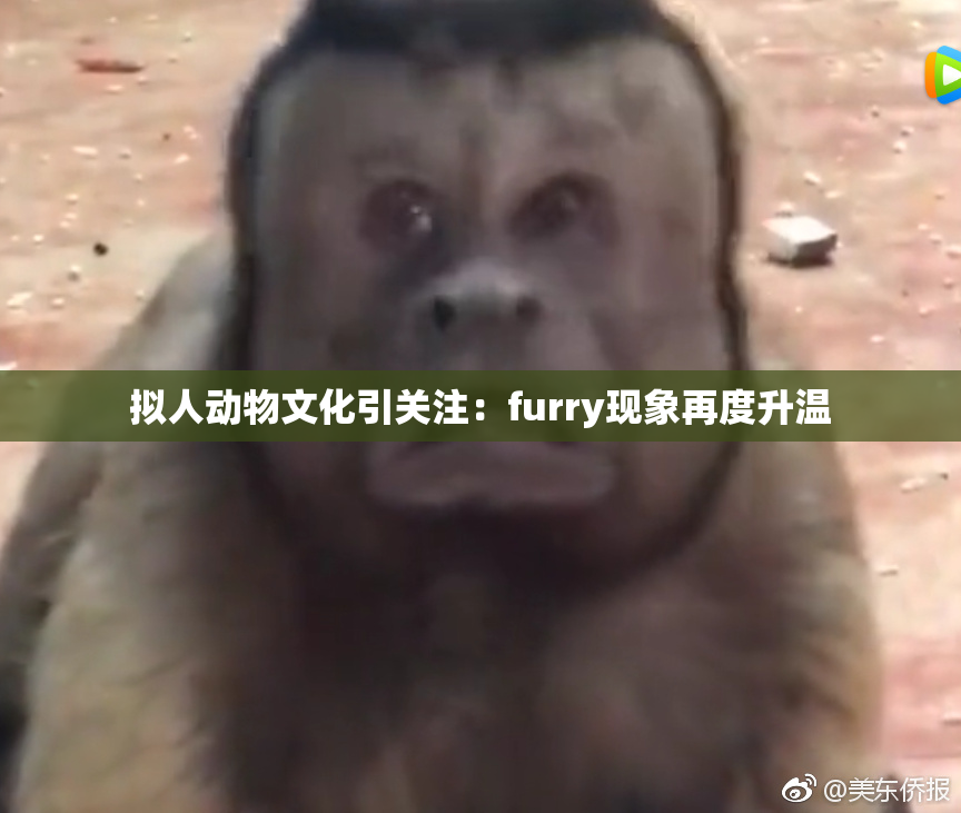 拟人动物文化引关注：furry现象再度升温