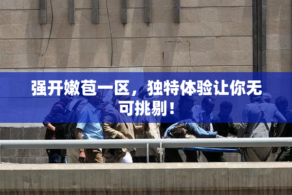 强开嫩苞一区，独特体验让你无可挑剔！