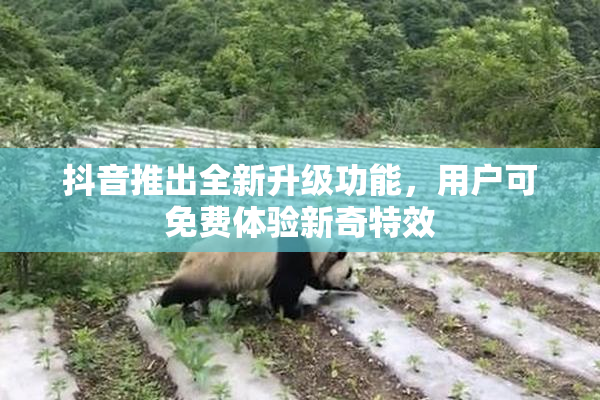抖音推出全新升级功能，用户可免费体验新奇特效