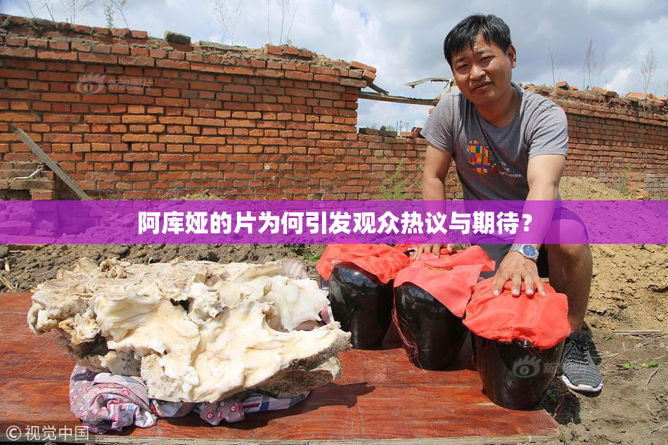 阿库娅的片为何引发观众热议与期待？