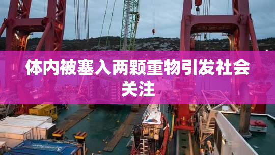 体内被塞入两颗重物引发社会关注