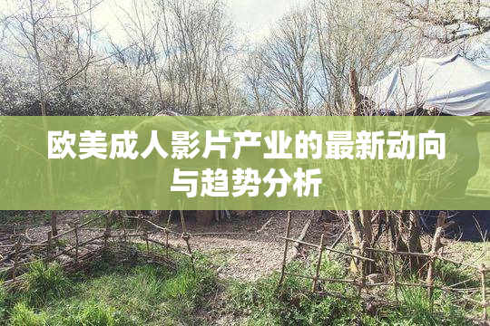 欧美成人影片产业的最新动向与趋势分析