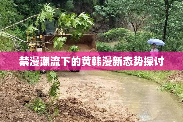 禁漫潮流下的黄韩漫新态势探讨