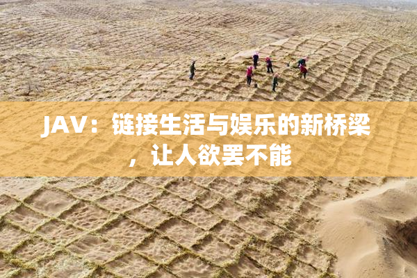 JAV：链接生活与娱乐的新桥梁，让人欲罢不能