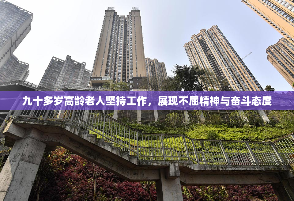 九十多岁高龄老人坚持工作，展现不屈精神与奋斗态度