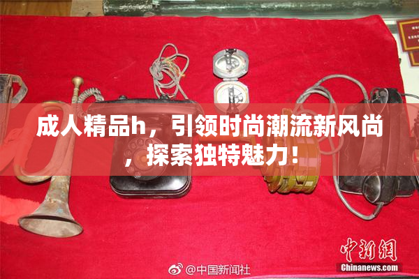 成人精品h，引领时尚潮流新风尚，探索独特魅力！