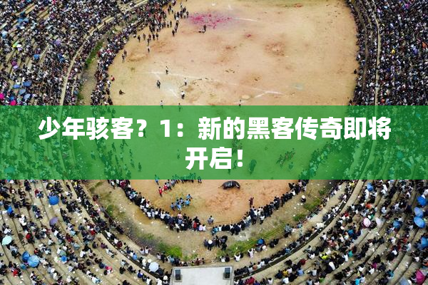 少年骇客？1：新的黑客传奇即将开启！